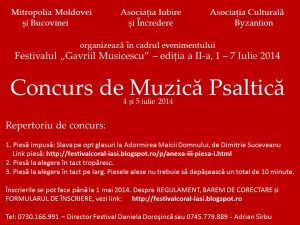concurs muzica